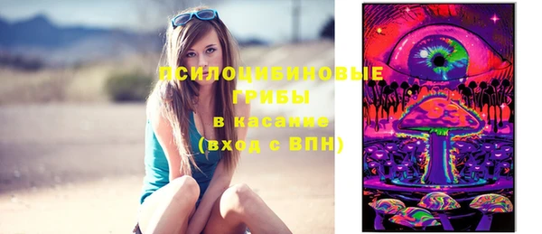 ешки Володарск