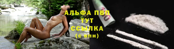 mdpv Волоколамск
