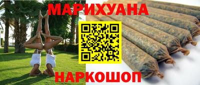 индика Заводоуковск
