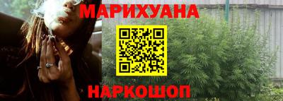 индика Заводоуковск