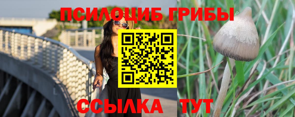 Минеральные Воды  Псилоцибиновые грибы Psilocybe  купить наркотик  Вход с VPN 